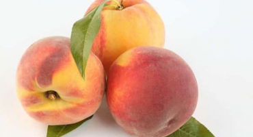 Jednoduchý recept na výrobu broskvové marmelády na zimu